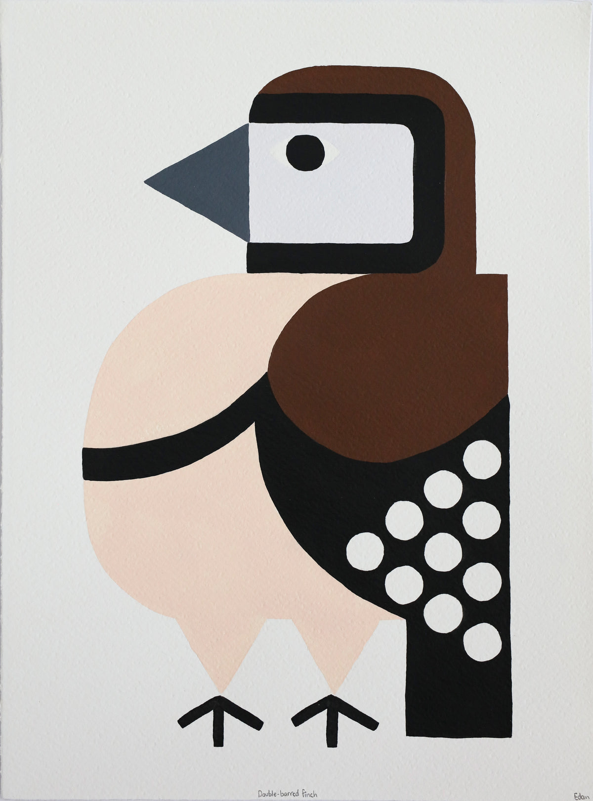 Edan Azzopardi | Double-Barred Finch