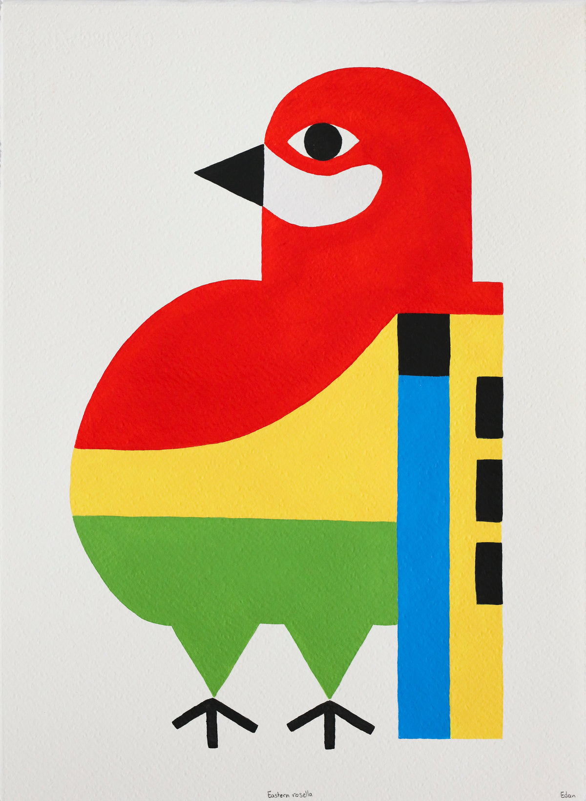 Edan Azzopardi | Eastern Rosella