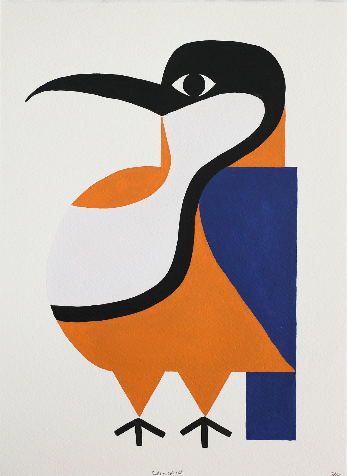 Edan Azzopardi | Eastern Spinebill