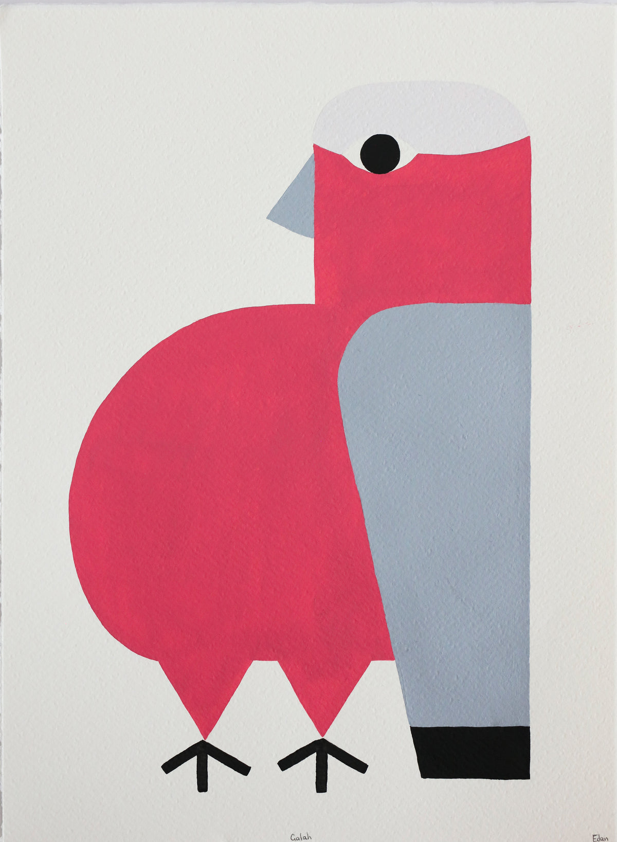 Edan Azzopardi | Galah
