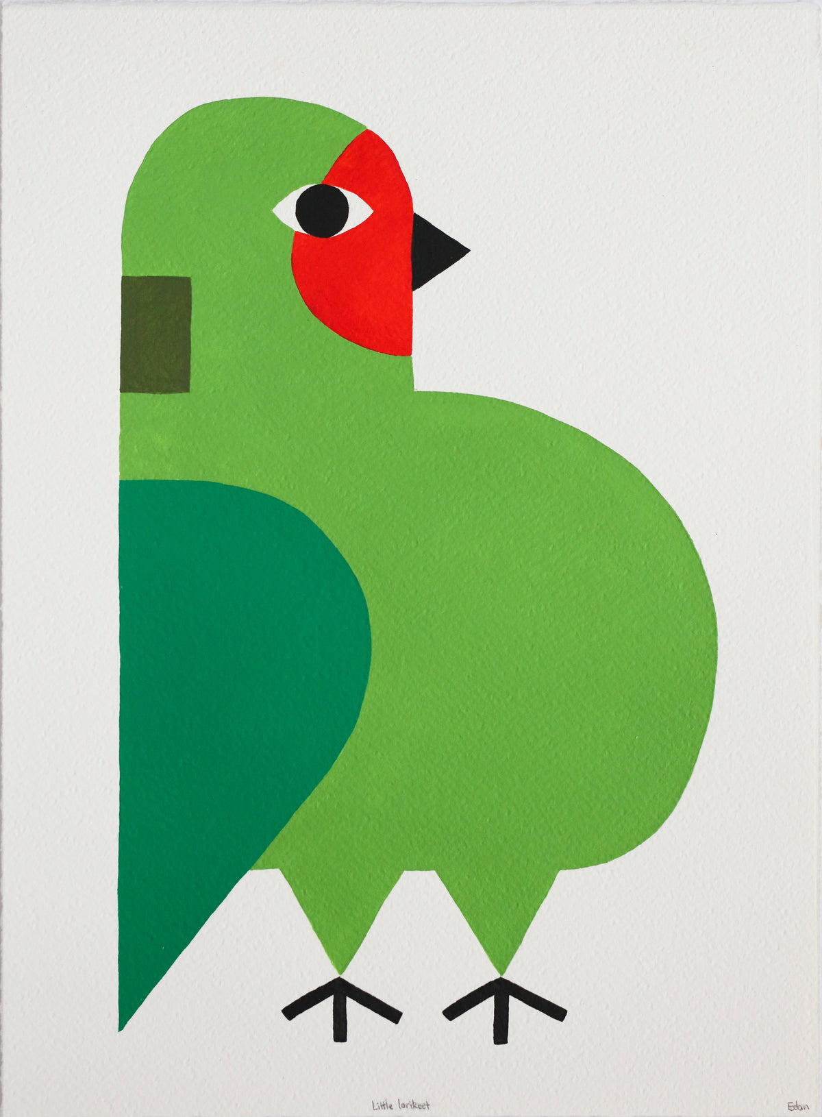 Edan Azzopardi | Little Lorikeet