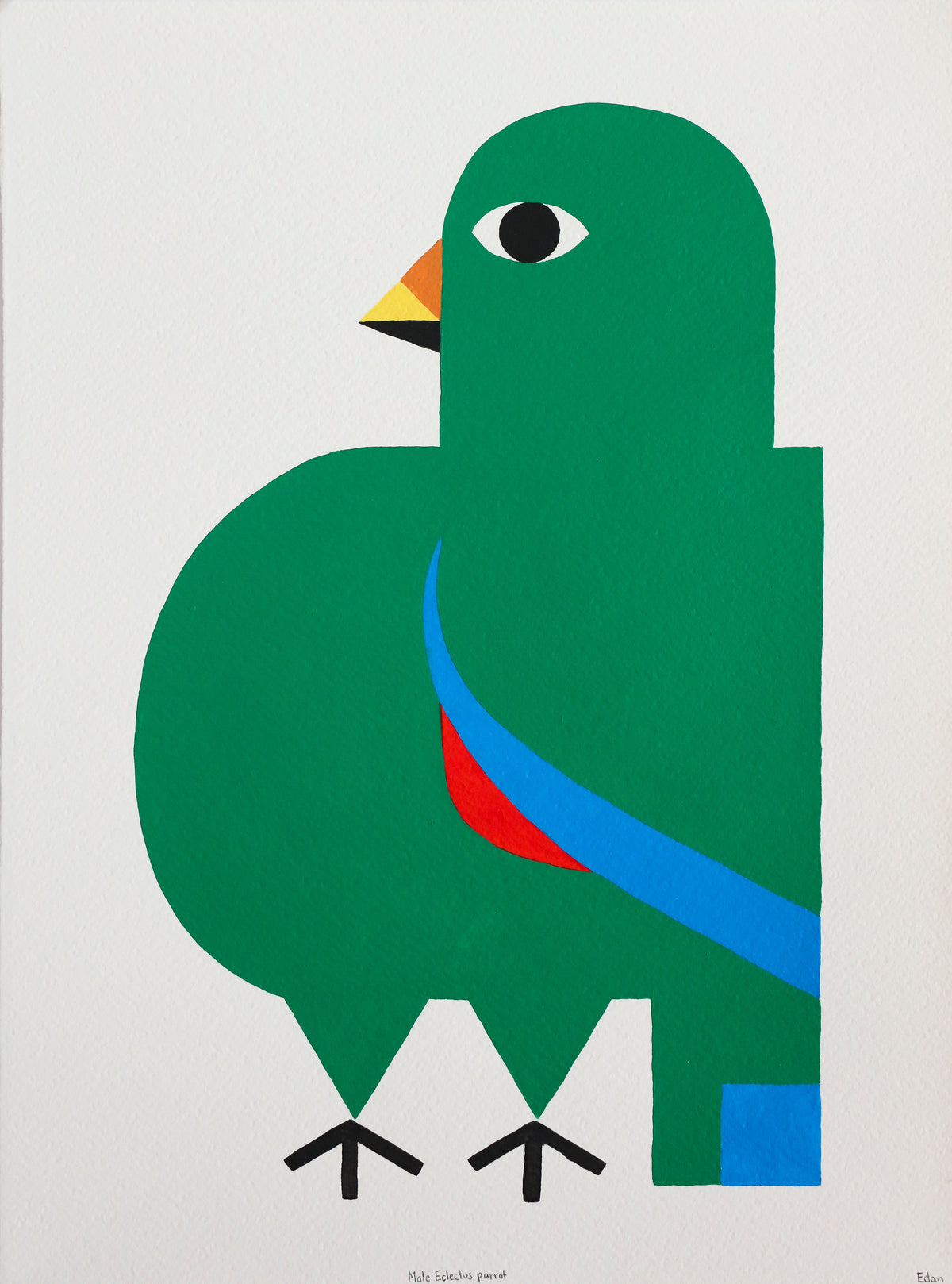 Edan Azzopardi | Male Eclectus Parrot