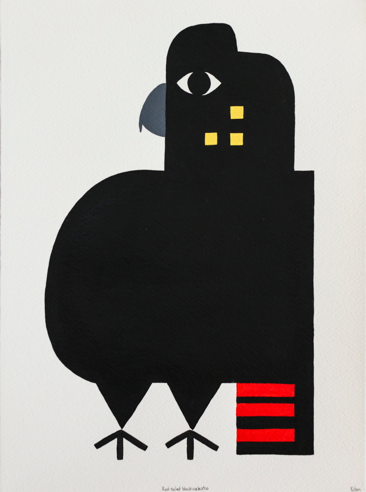 Edan Azzopardi | Red-Tailed Black Cockatoo