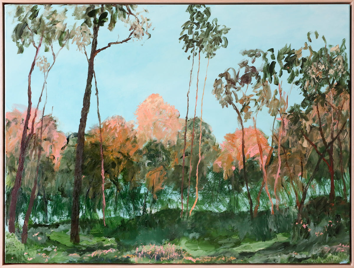 Edwina Edwards | The Quiet Woods