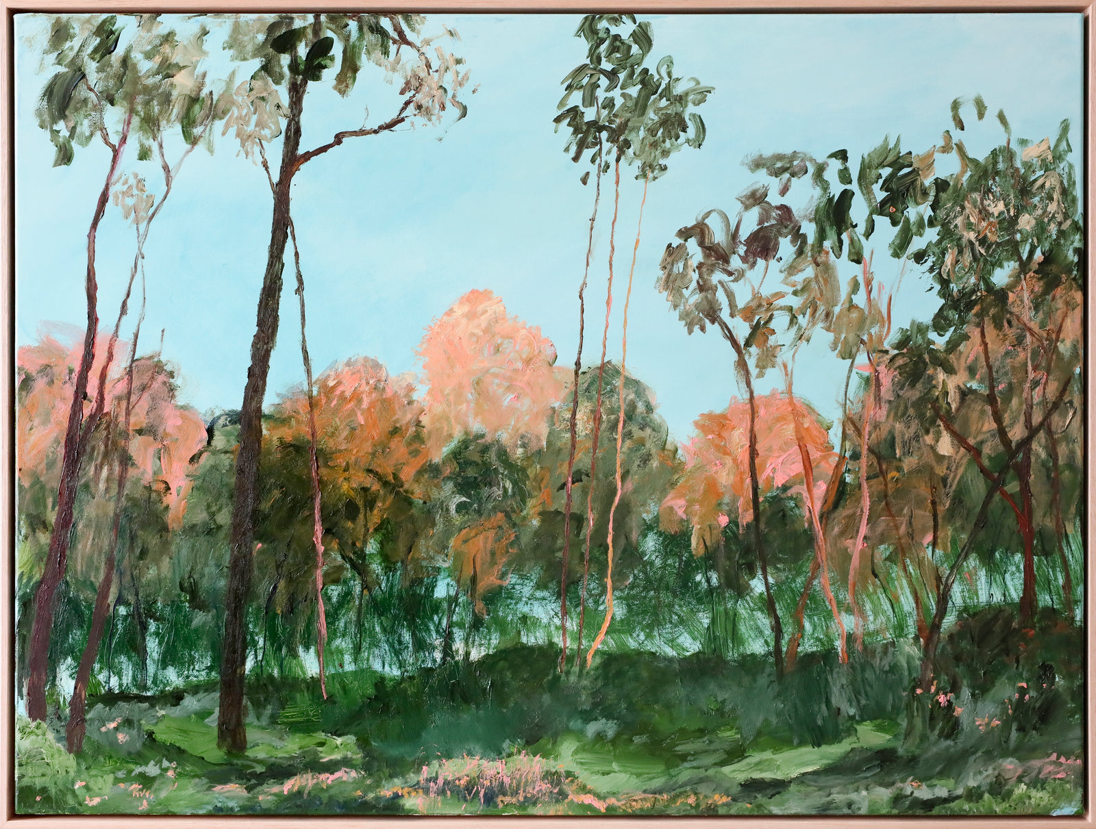 Edwina Edwards | The Quiet Woods