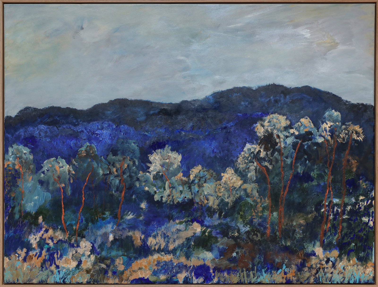 Edwina Edwards | Stringybark Woodland