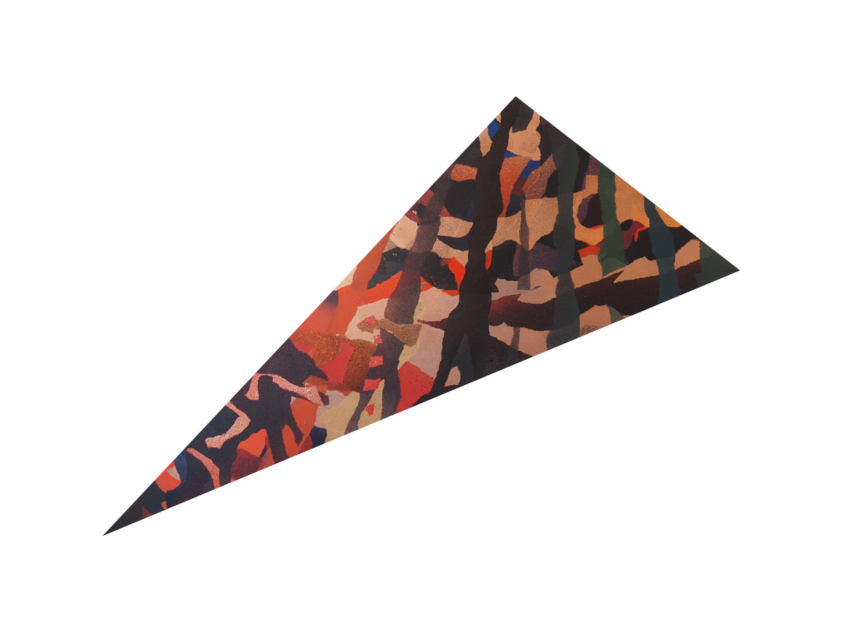 Elijah Värttö | Meteor Shower