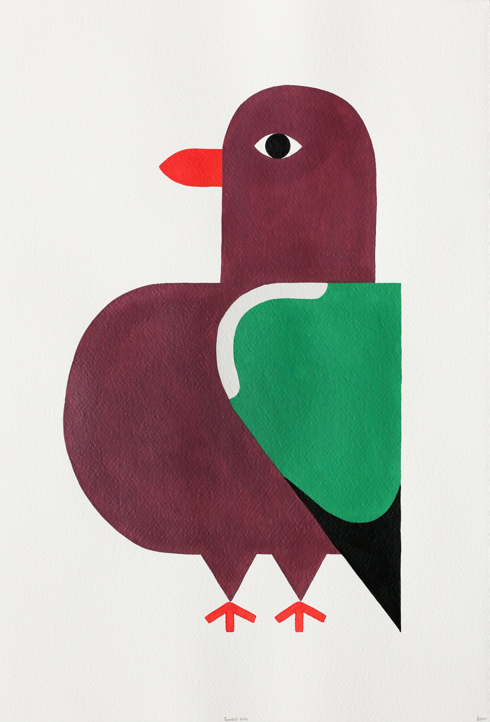 Edan Azzopardi | Emerald Dove