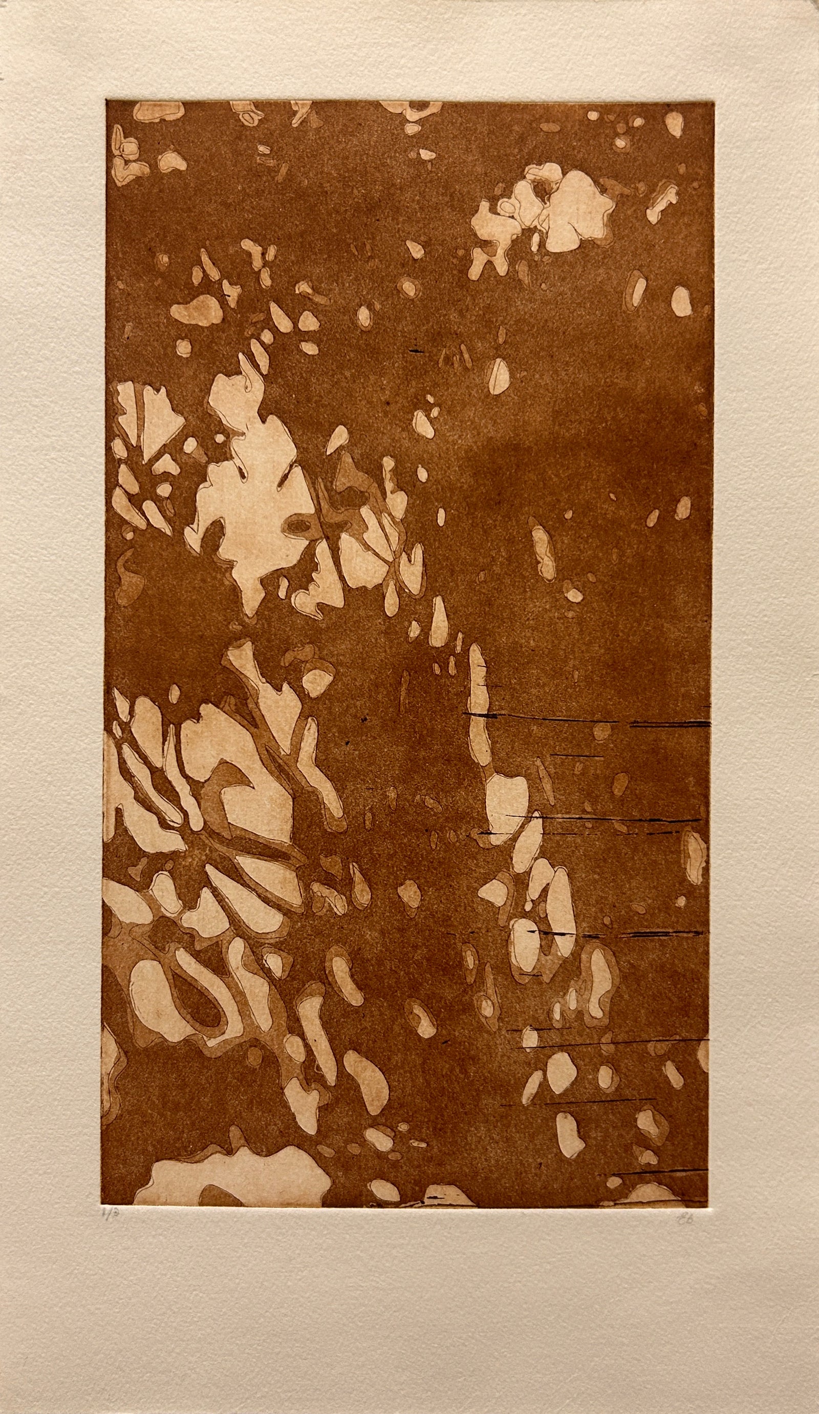 Emma Ballinger | Golden Hour Shadow