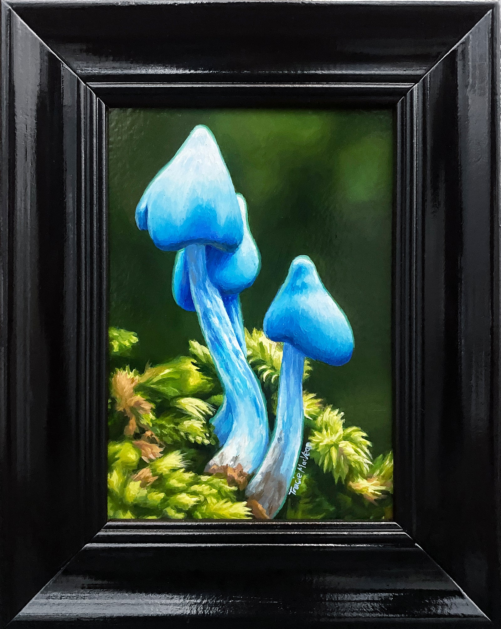 Tracie MacVean | Entoloma Hochstetteri