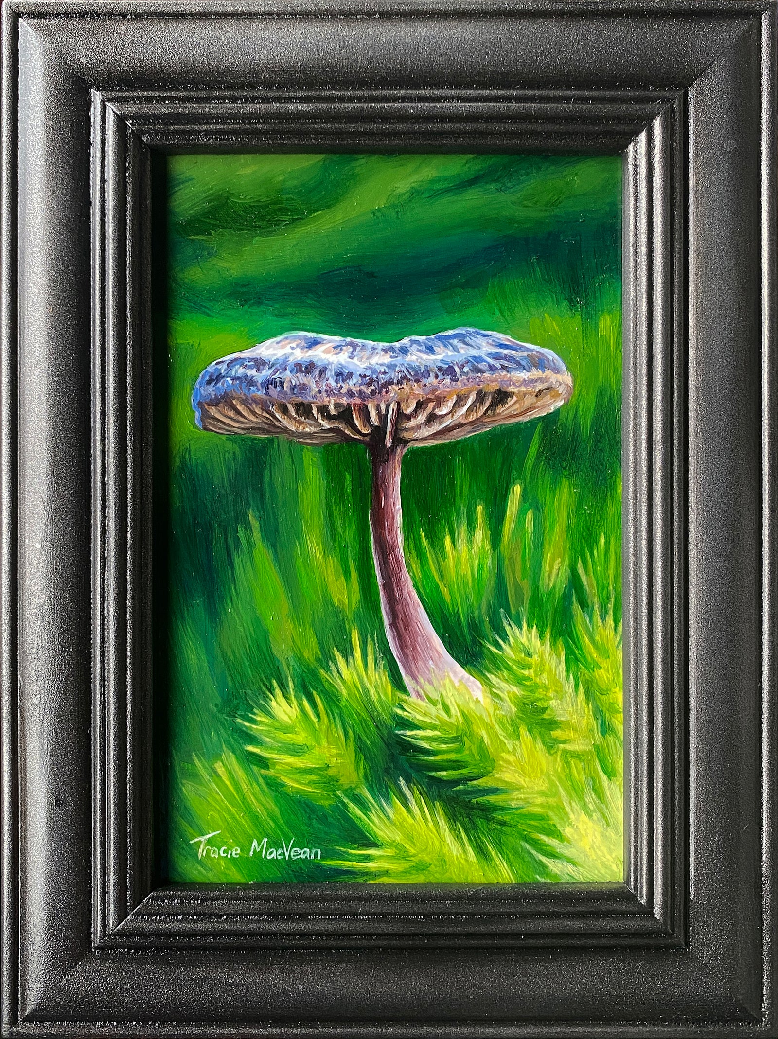 Tracie MacVean | Entoloma Percrinitum