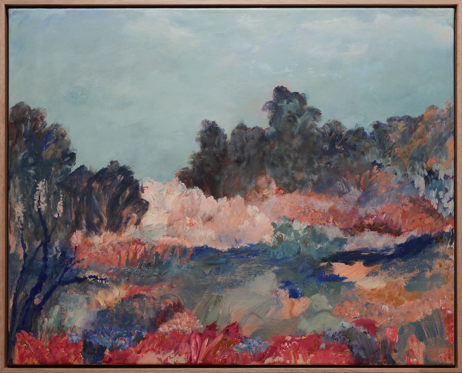 Edwina Edwards | Eucalypt Light