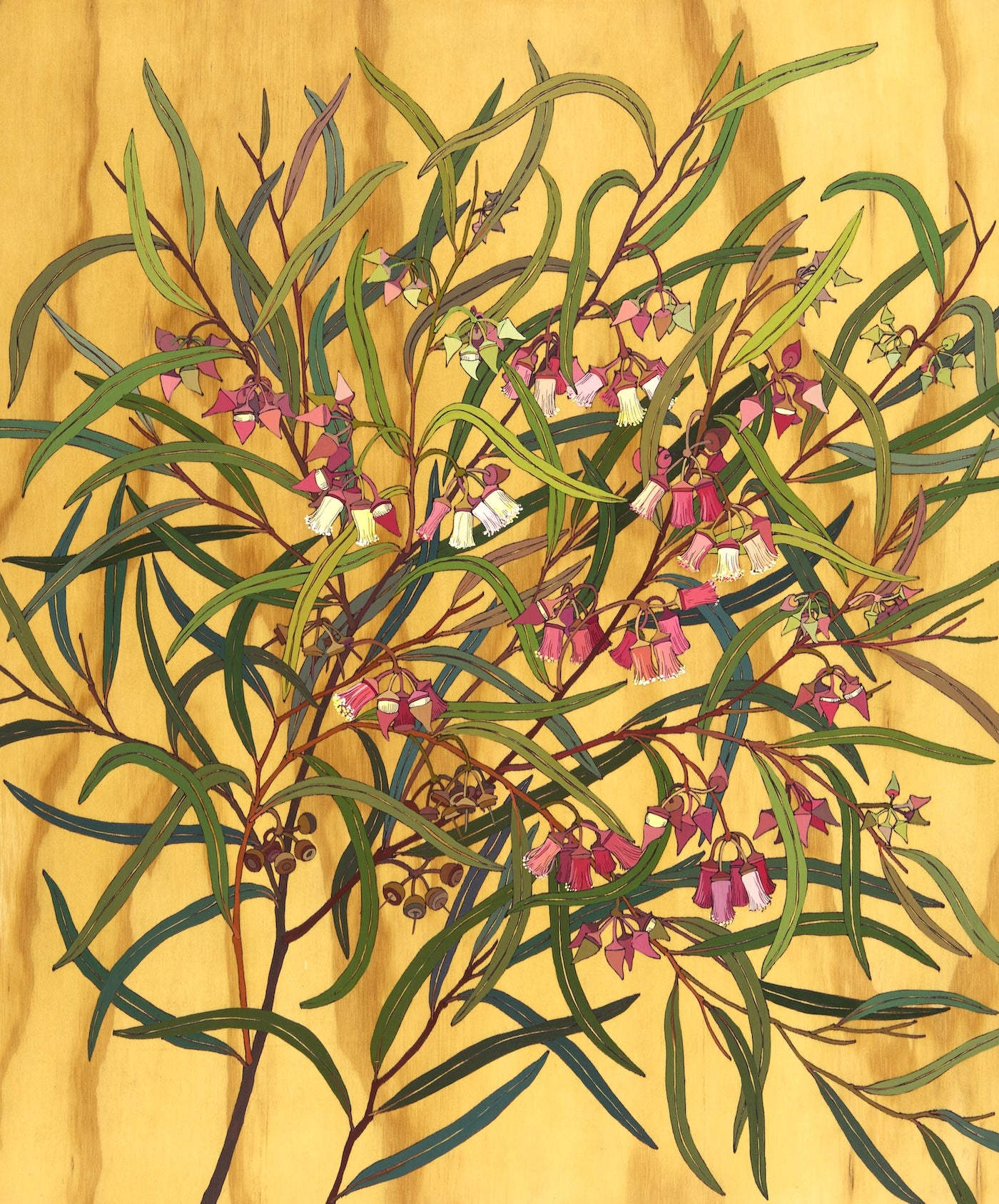 Irina Nazarova | Eucalyptus Rosacea