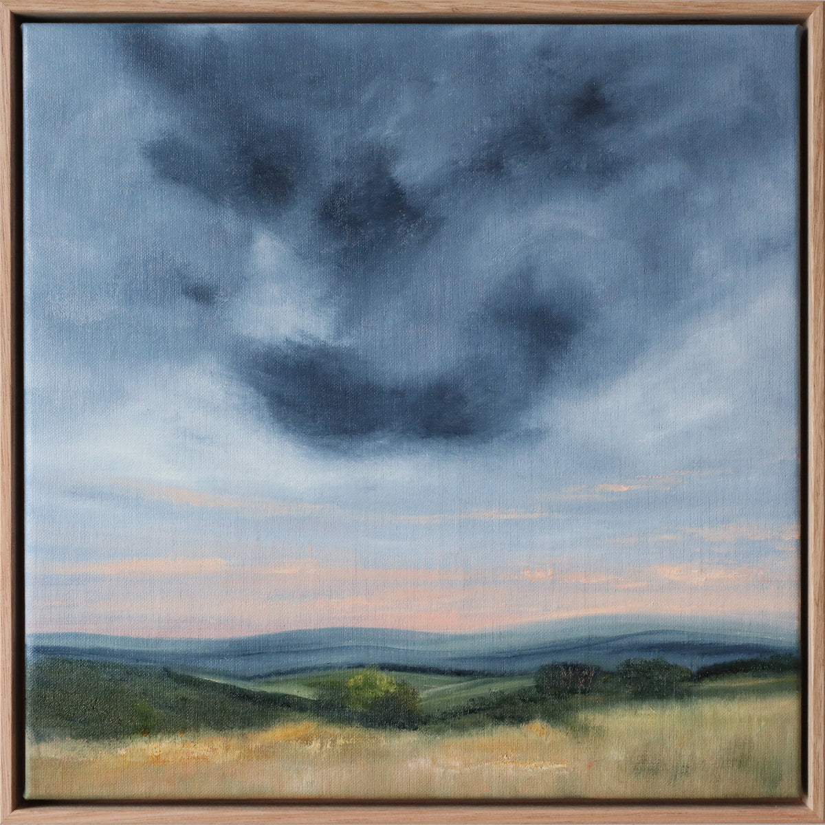 Allison Taplin | Even the Darkest Clouds Have a Silver Lining