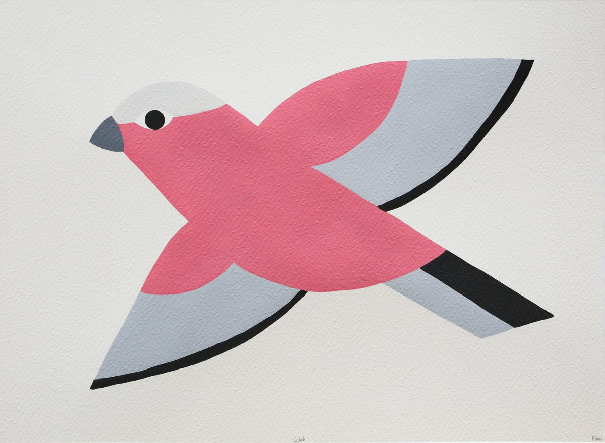 Edan Azzopardi | Flying Galah
