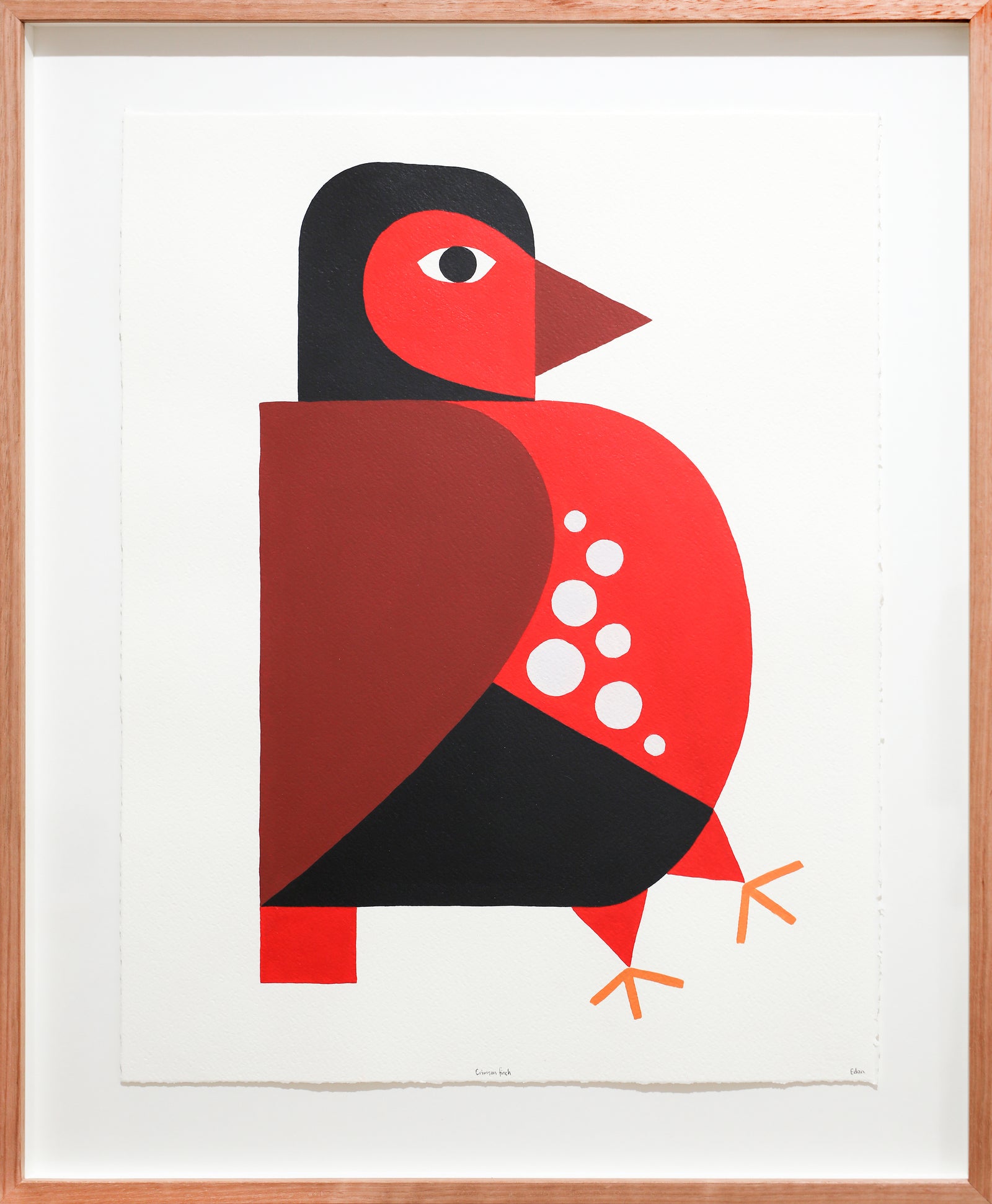 Edan Azzopardi | Crimson Finch
