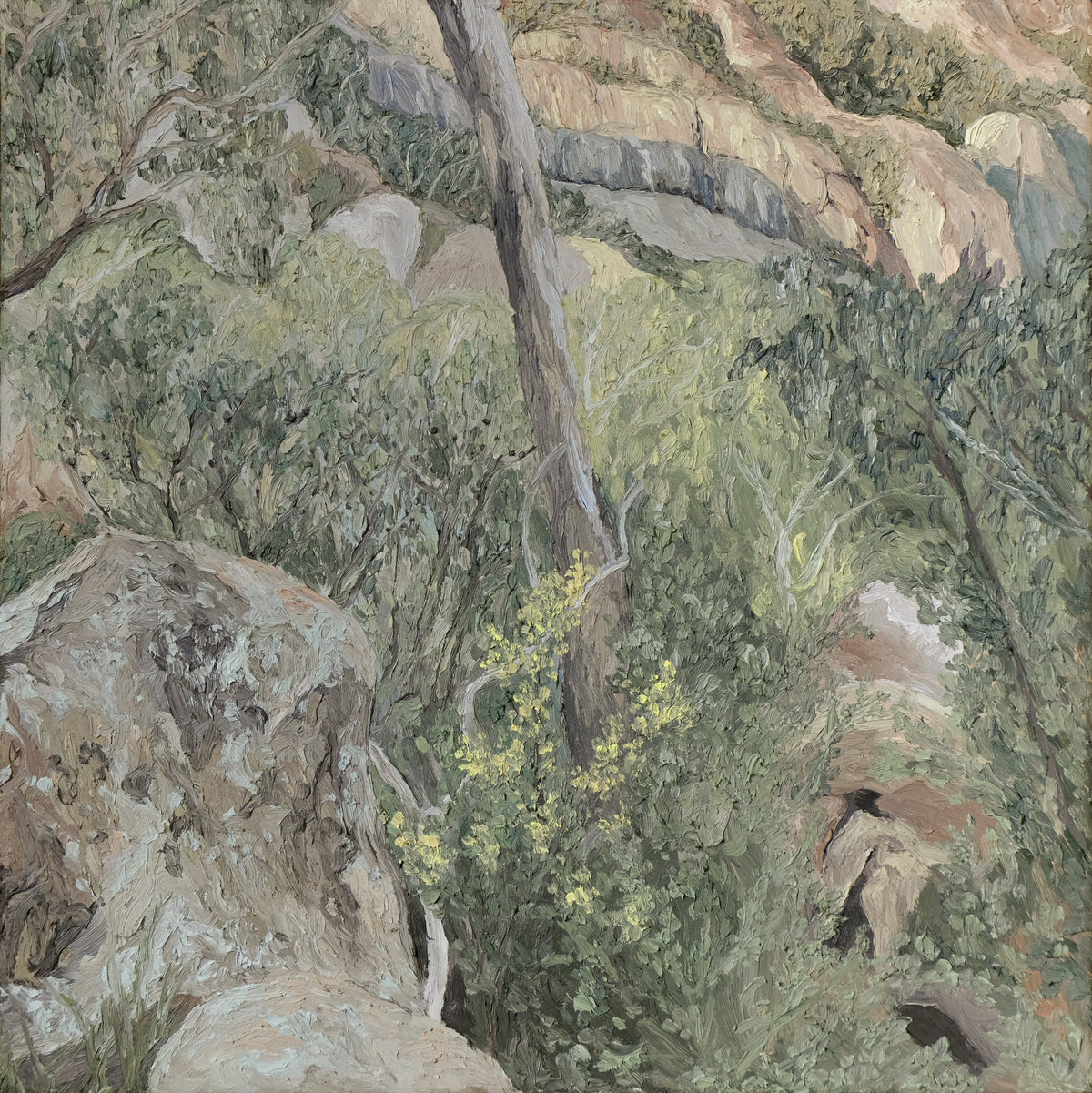 Chloe Caday | Freycinet Light