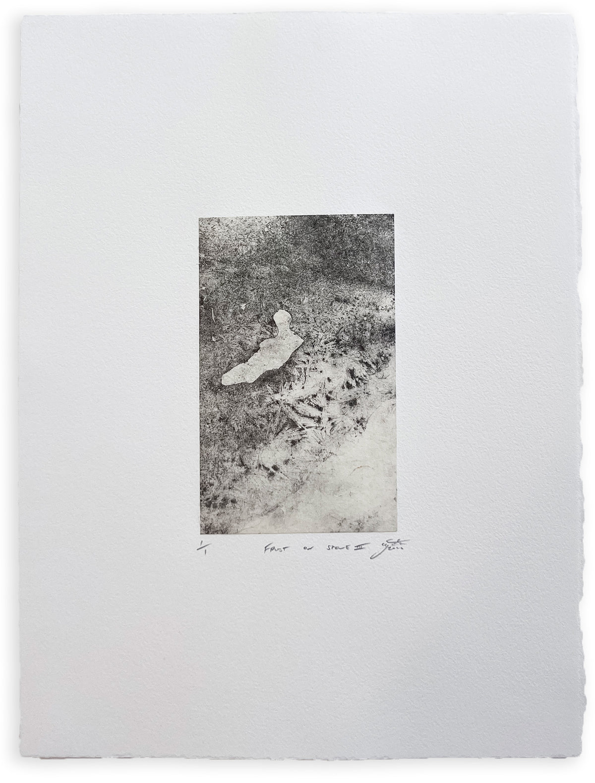 Charlie Gates | Frost on Stone III