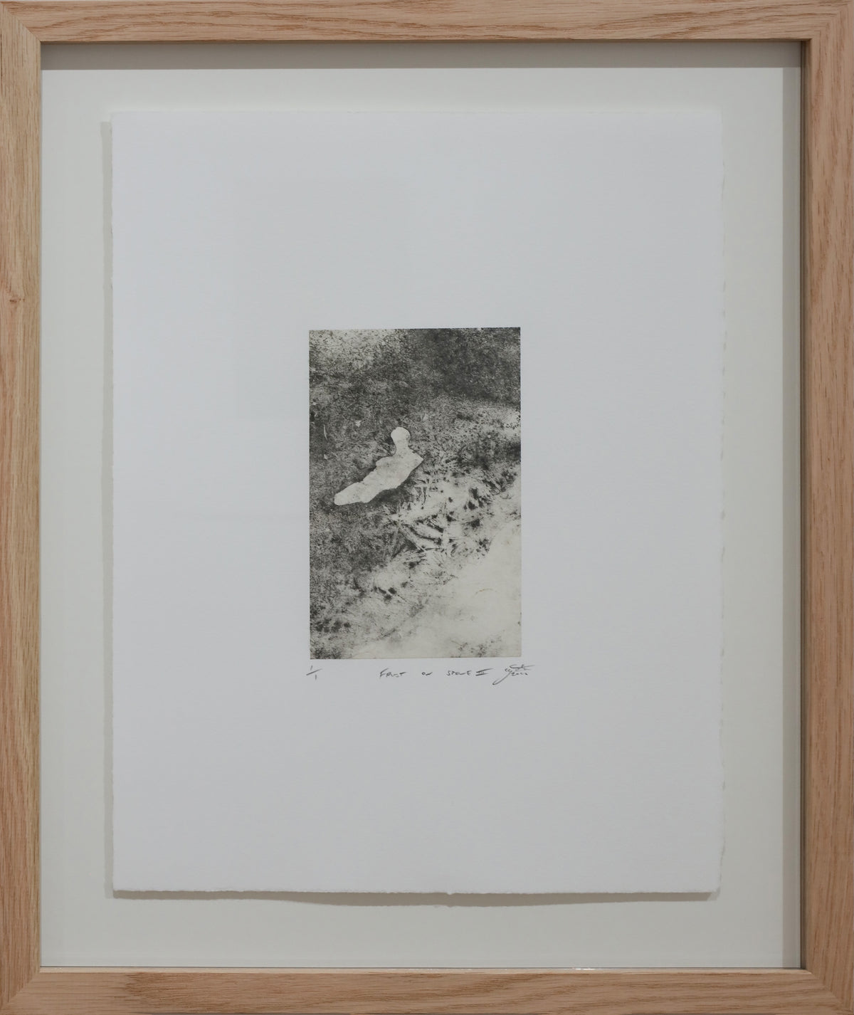 Charlie Gates | Frost on Stone III