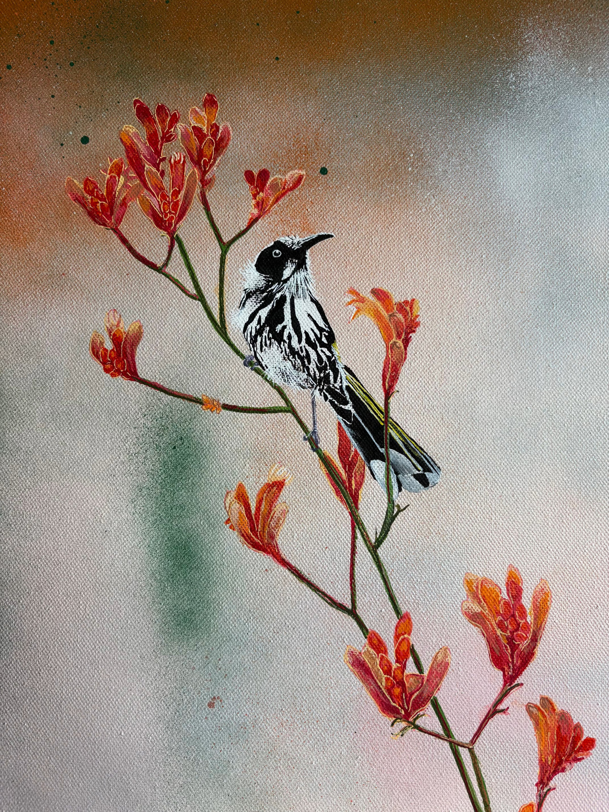 Gabrielle Bisaro | Hot Summer Honeyeater