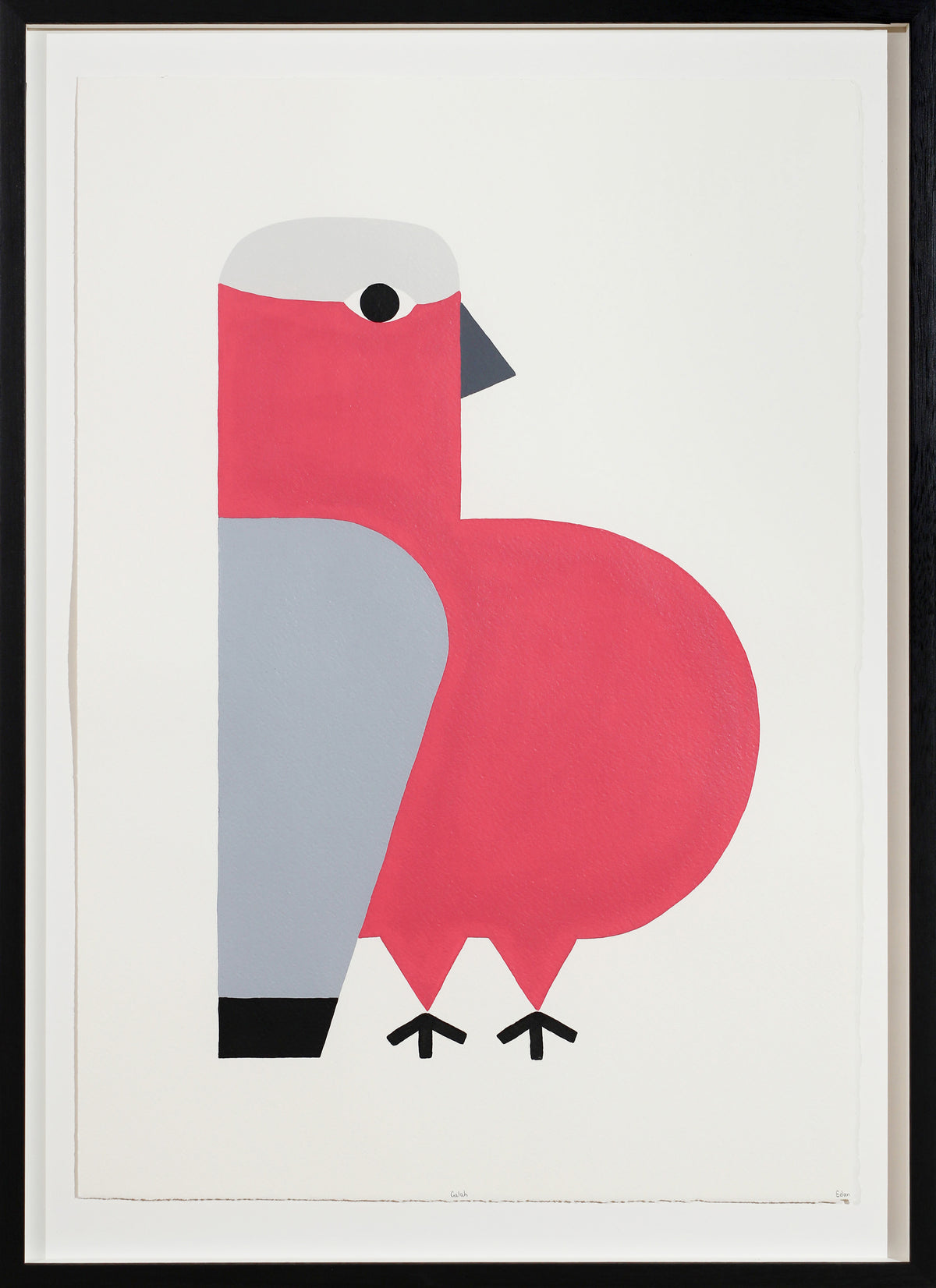 Edan Azzopardi | Galah