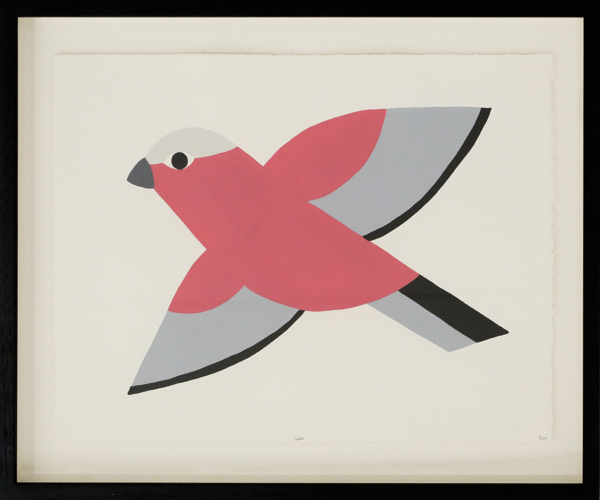 Edan Azzopardi | Flying Galah