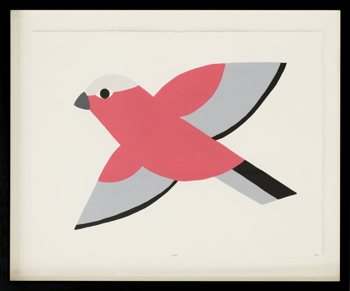 Edan Azzopardi | Flying Galah