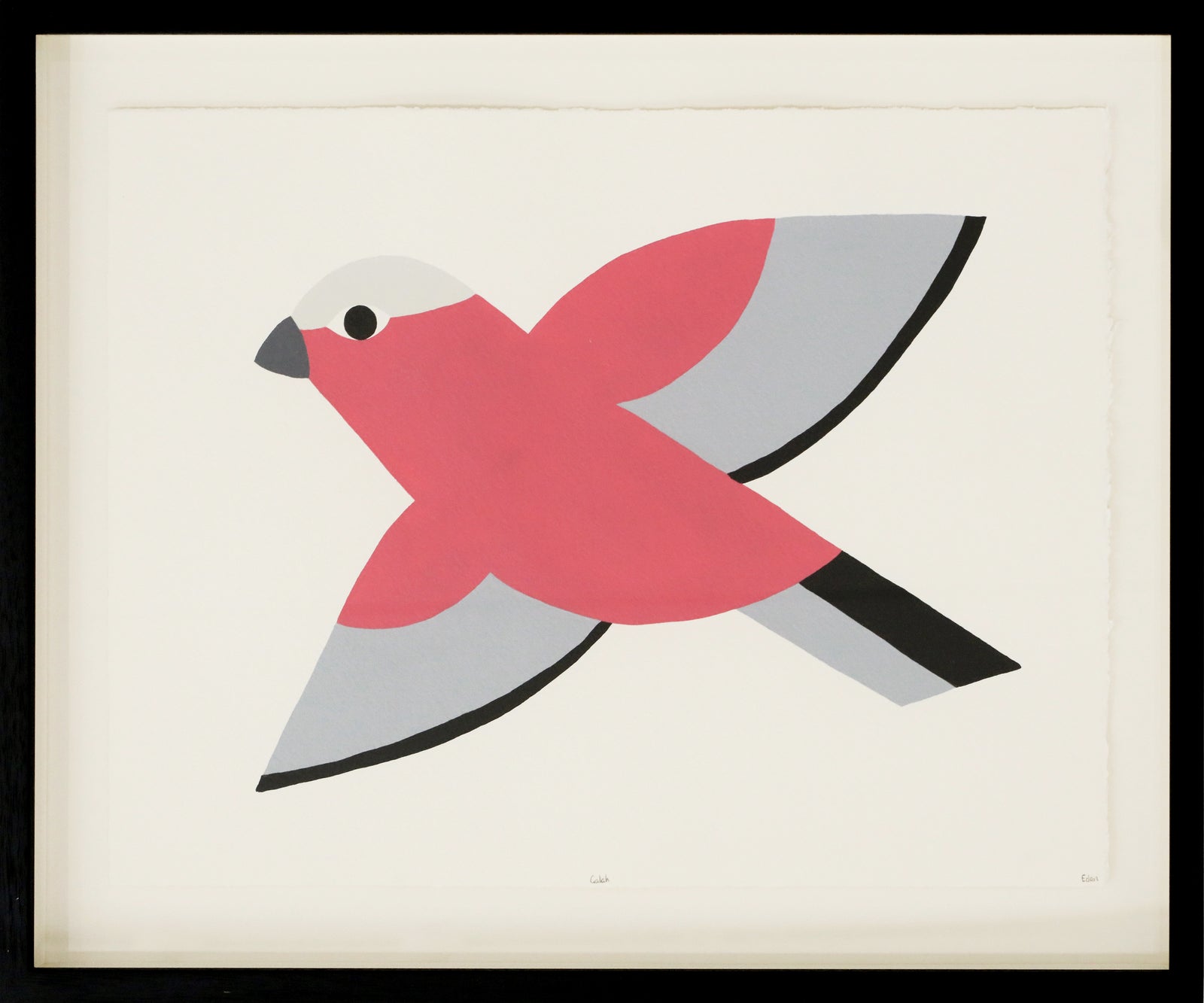 Edan Azzopardi | Flying Galah