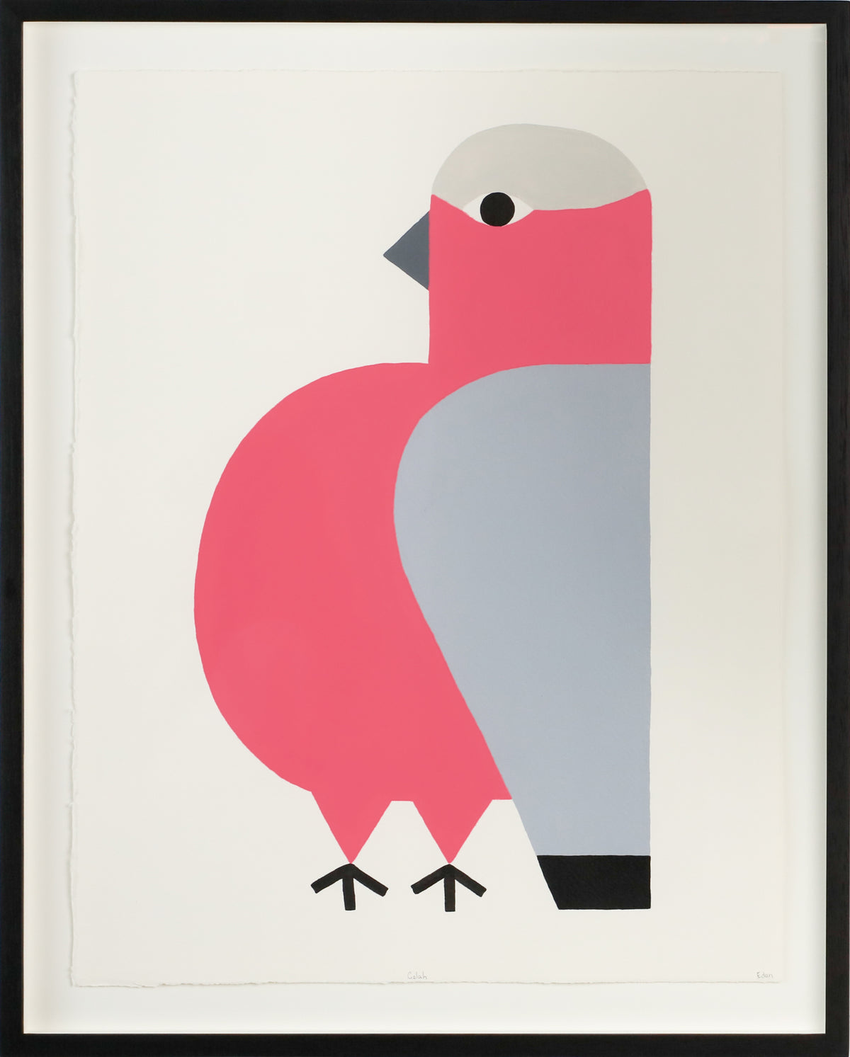 Edan Azzopardi | Galah