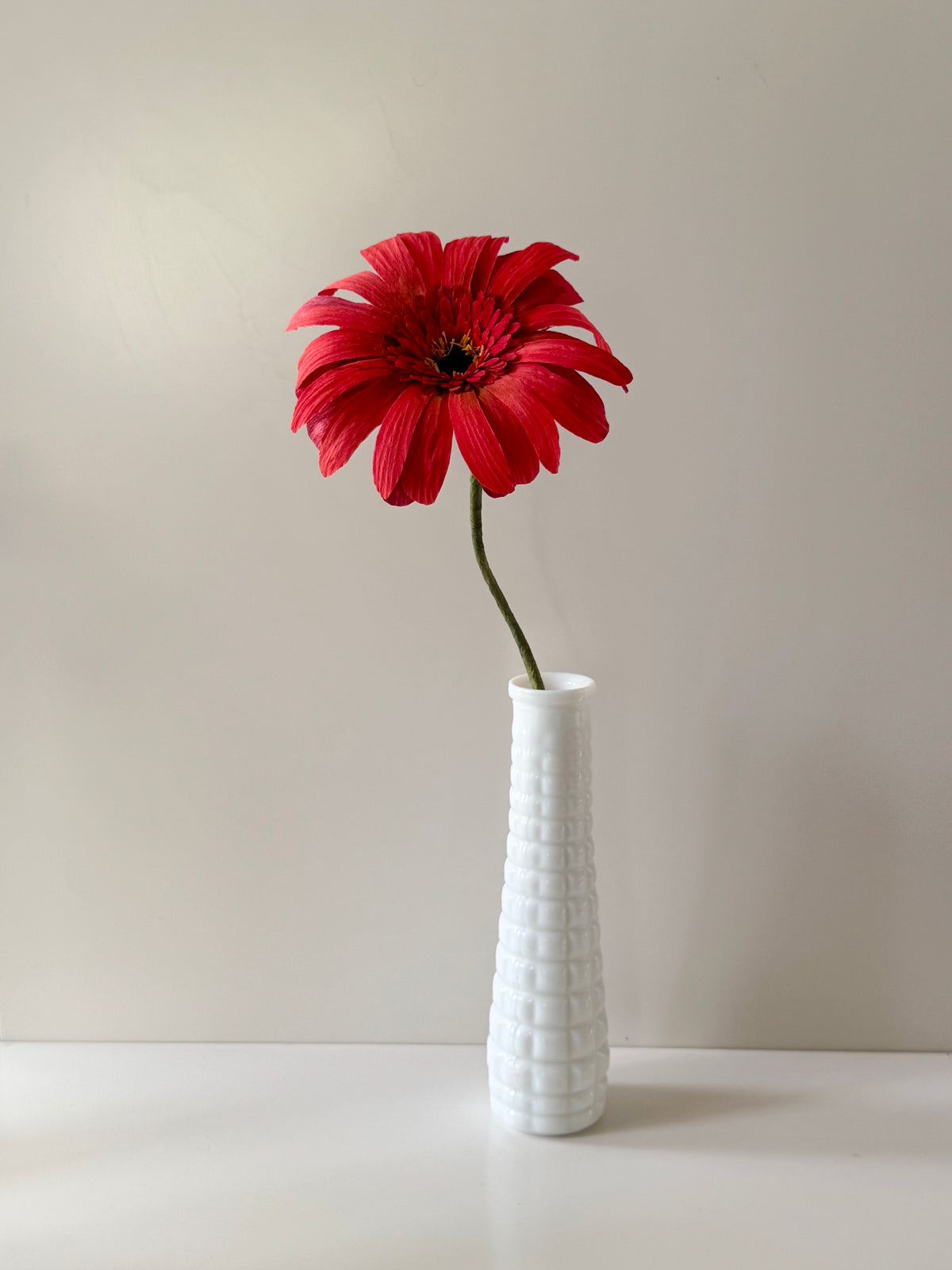 Leesa Cowan | Red Gerbera Flower