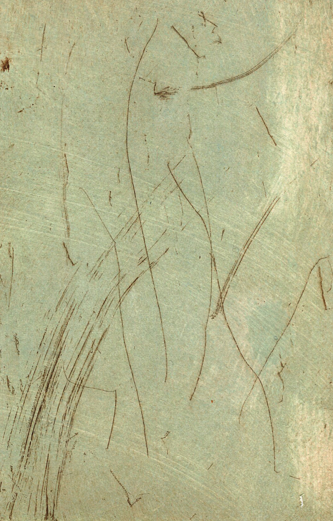 Cecilia Jacobs | Gesture