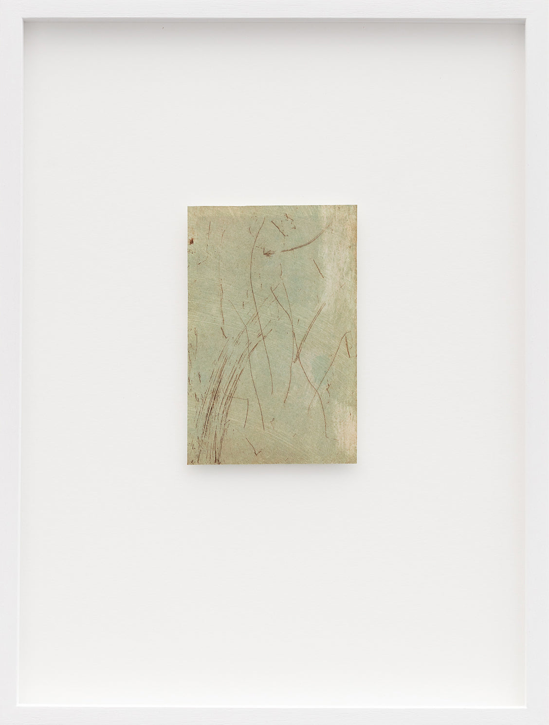 Cecilia Jacobs | Gesture