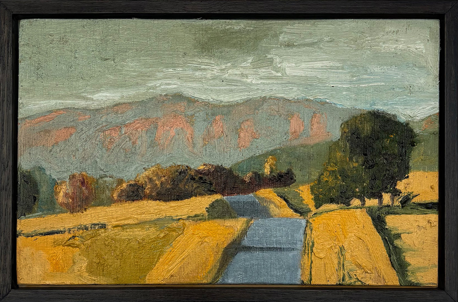 Martin Quinlan | Golden Light