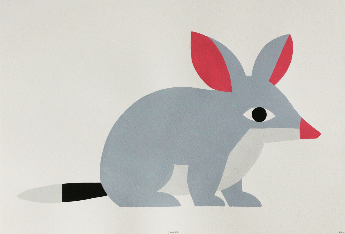 Edan Azzopardi | Greater Bilby