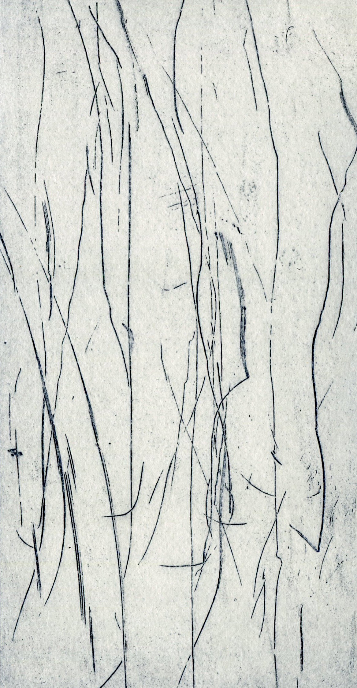 Cecilia Jacobs | Grey Walk II