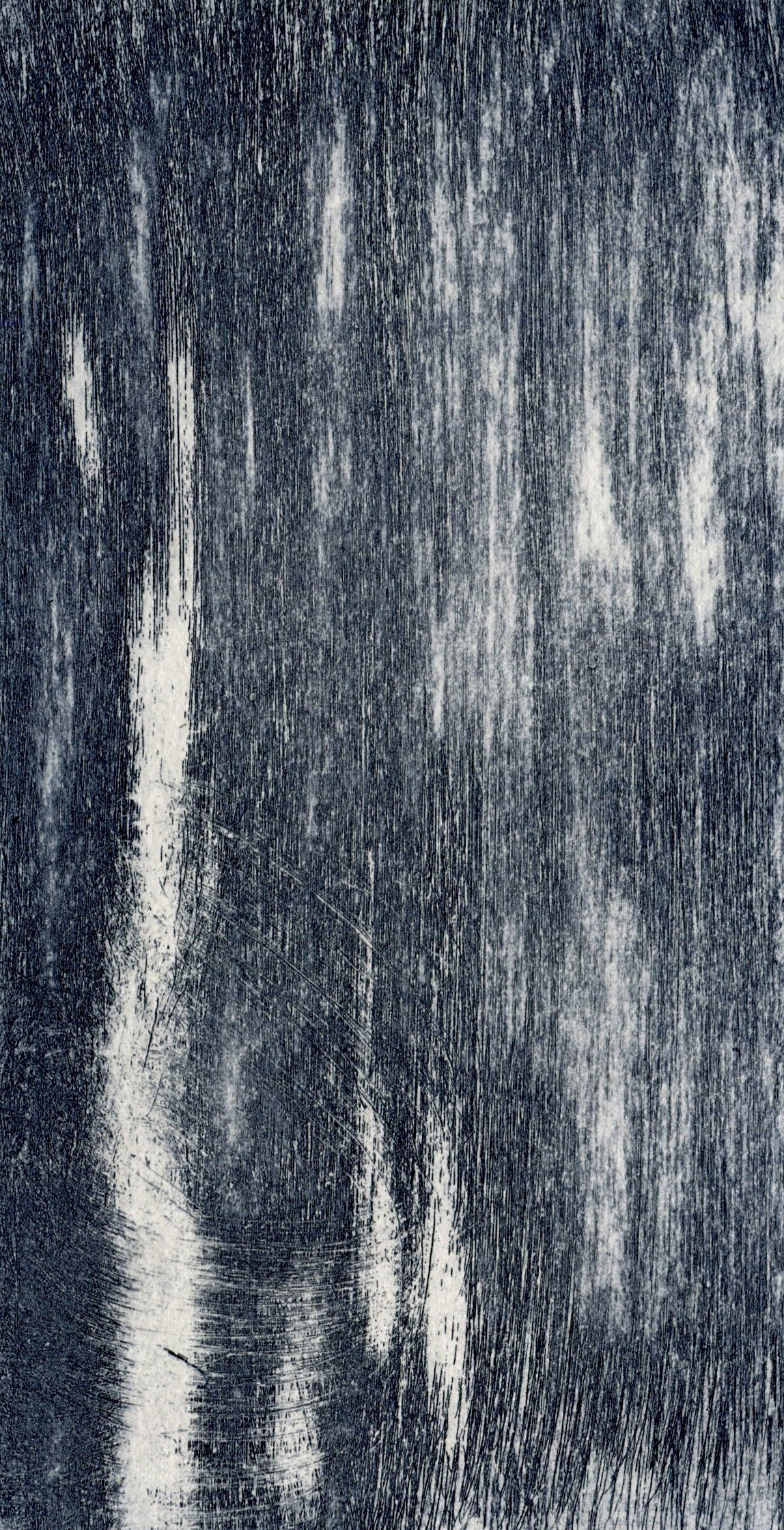 Cecilia Jacobs | Grey Walk III