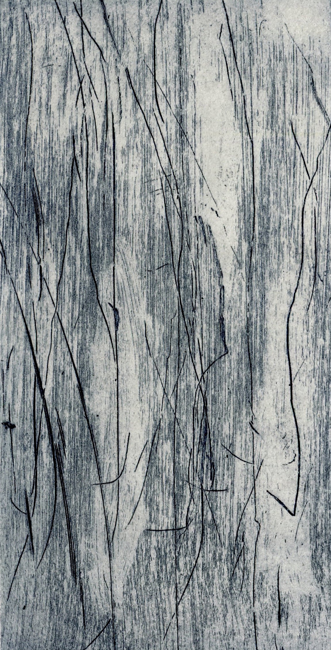 Cecilia Jacobs | Grey Walk IV