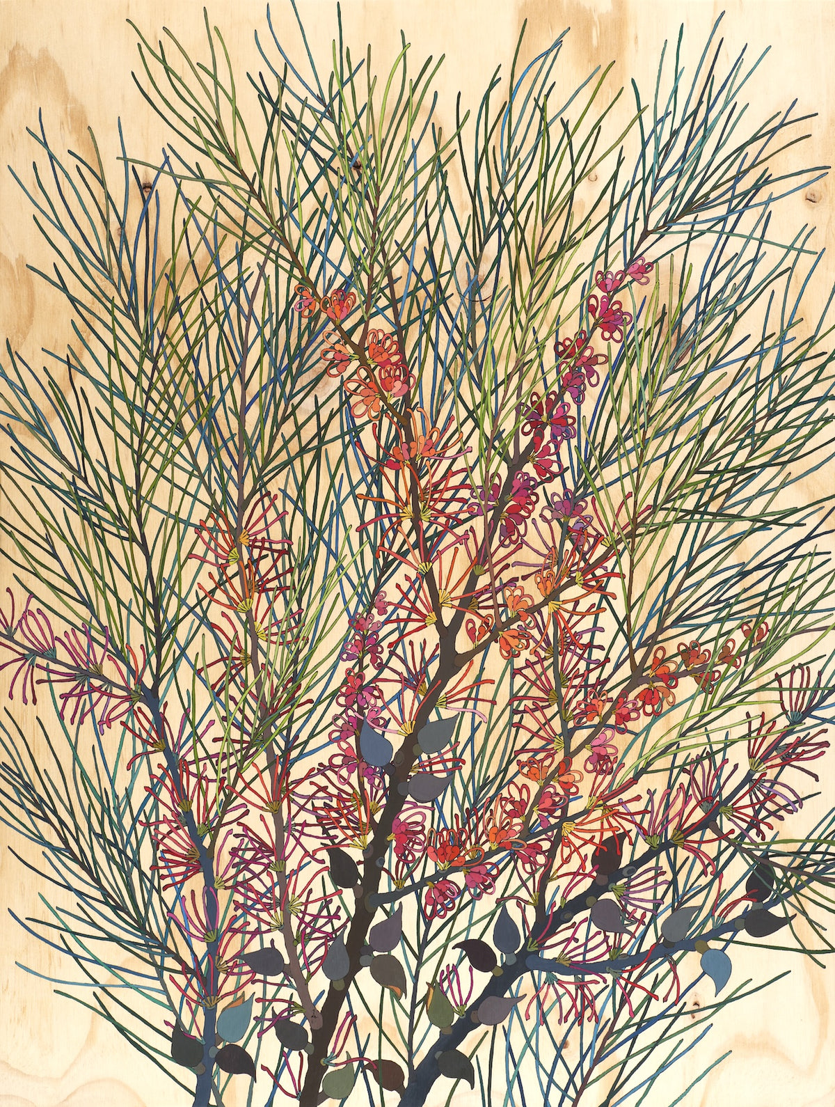 Irina Nazarova | Hakea
