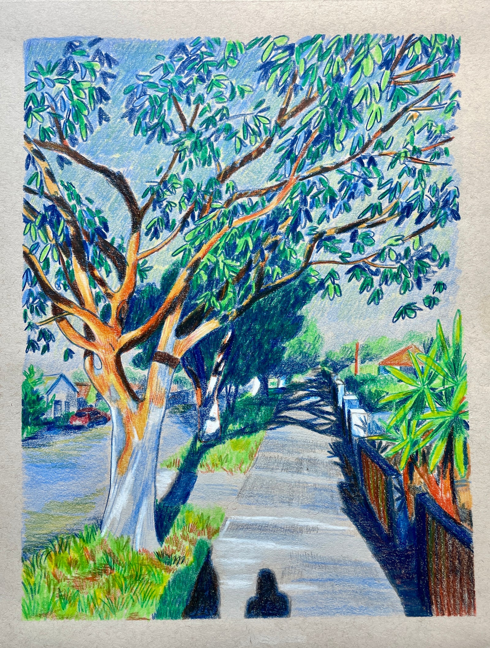 Harriet McDougall | To or From