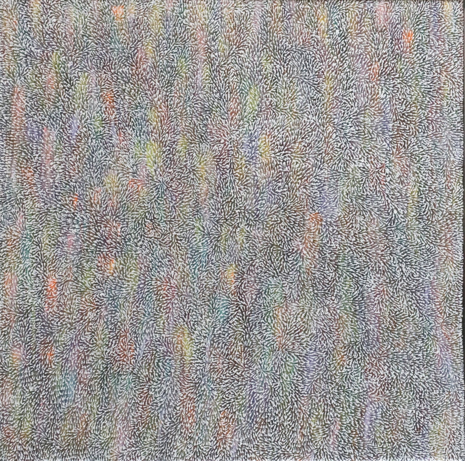 Hazel Kngwarreye Morton | Ilyarnayt 541-25