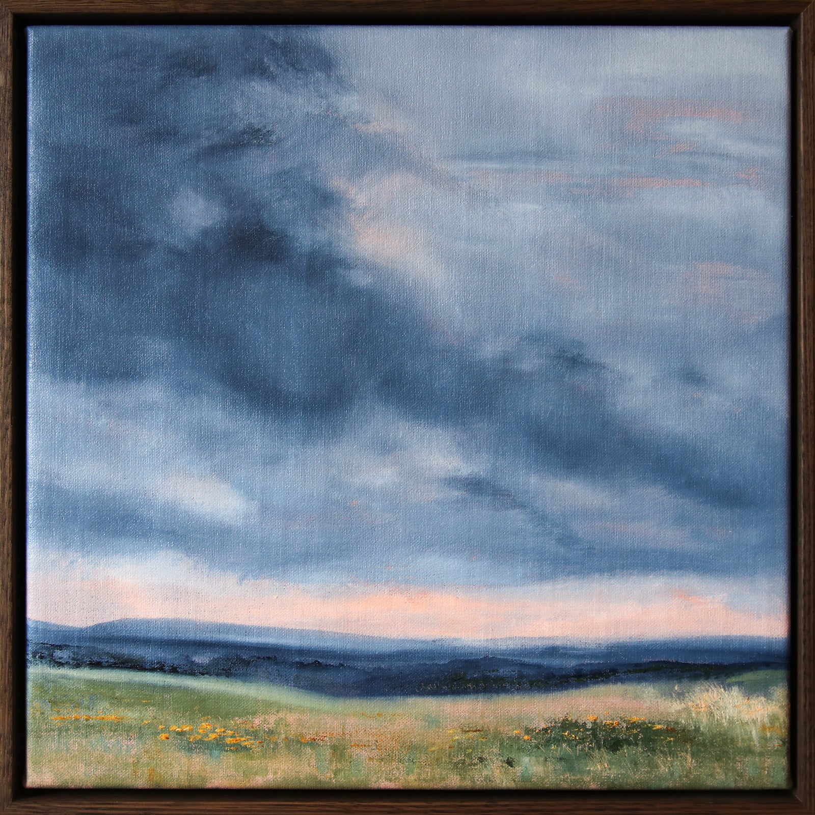Allison Taplin | Hopes & Dreams
