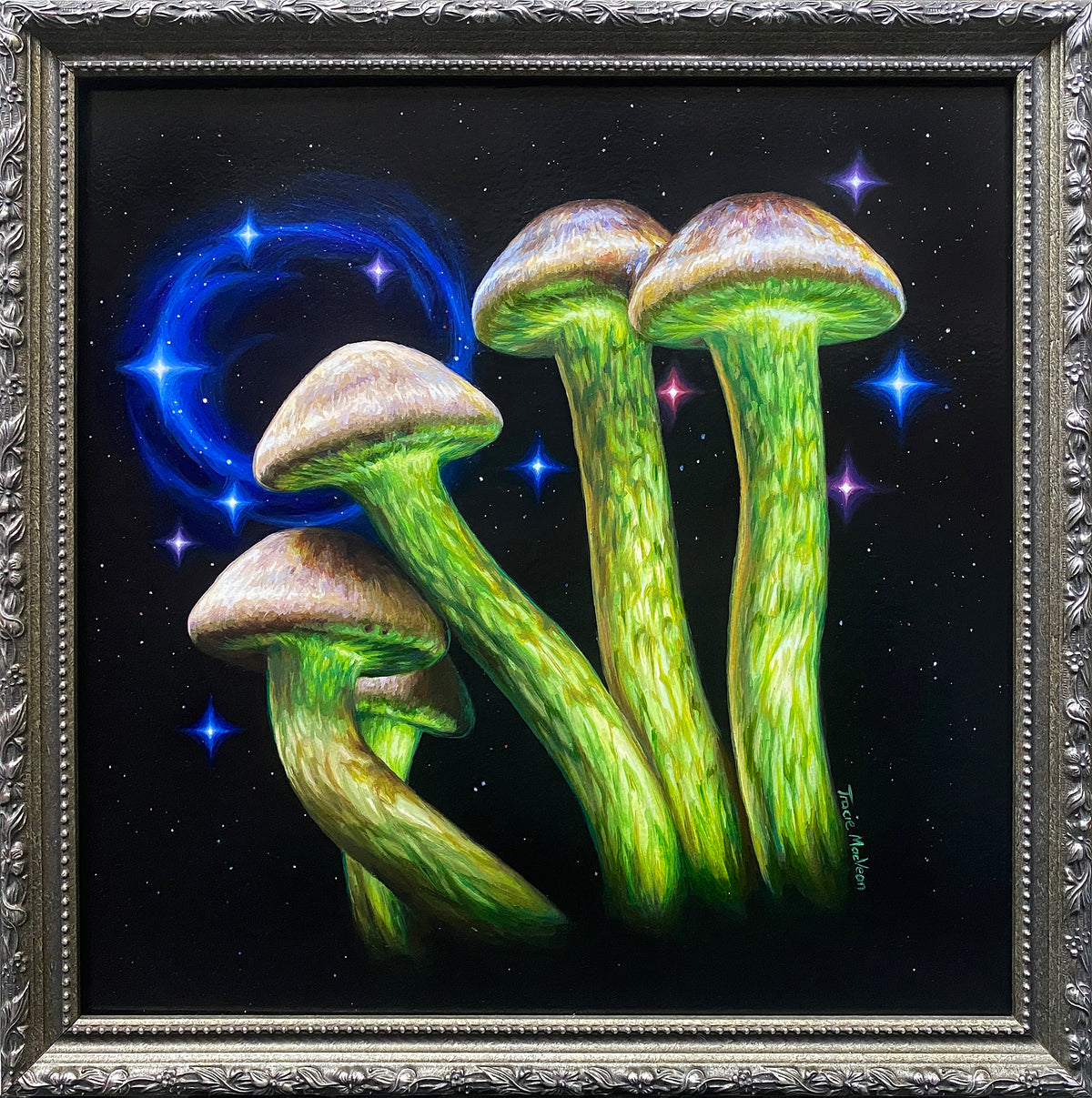 Tracie MacVean | Hypholoma Fasciculare