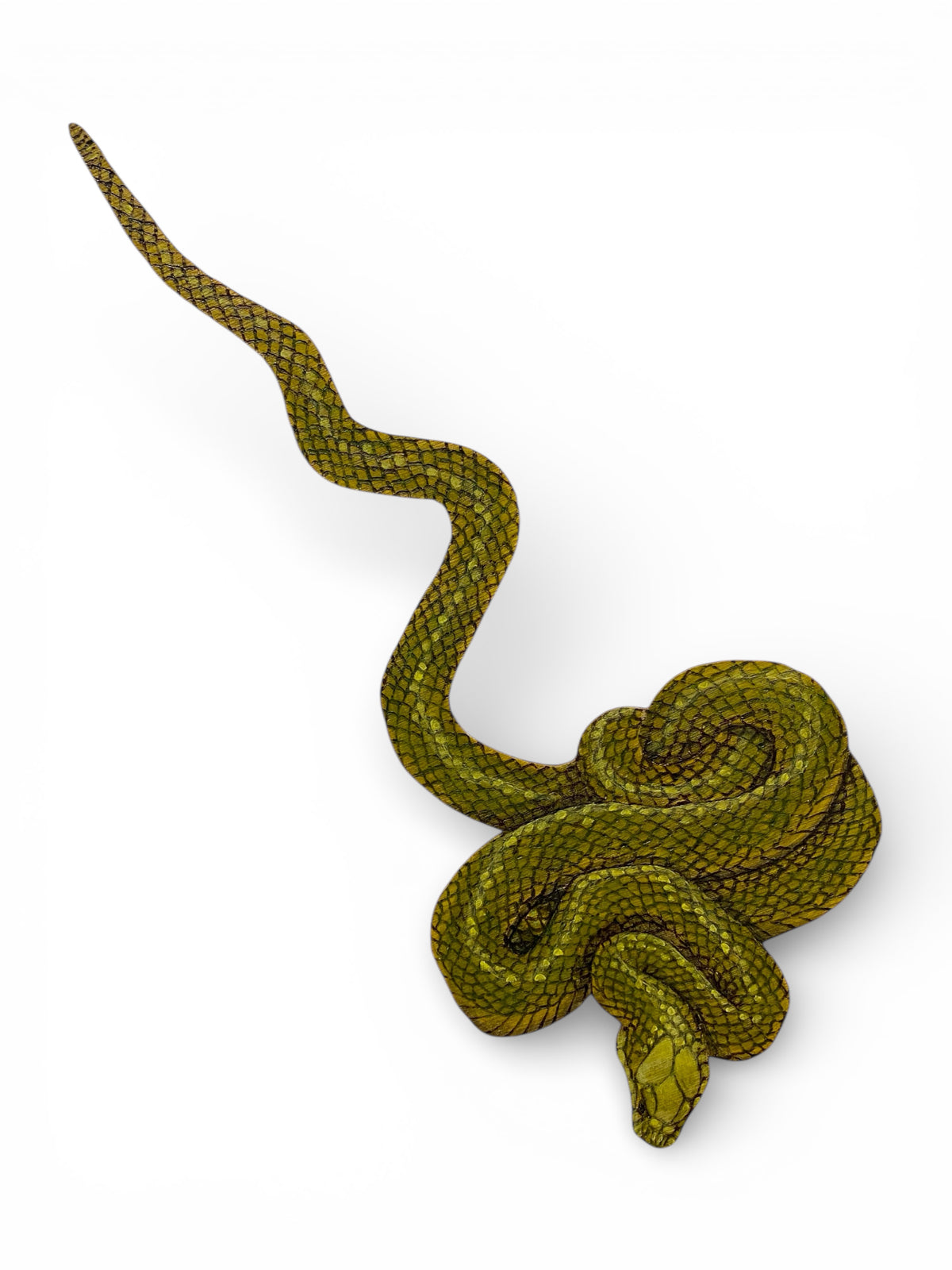 Sonia Martignon | Interconnect