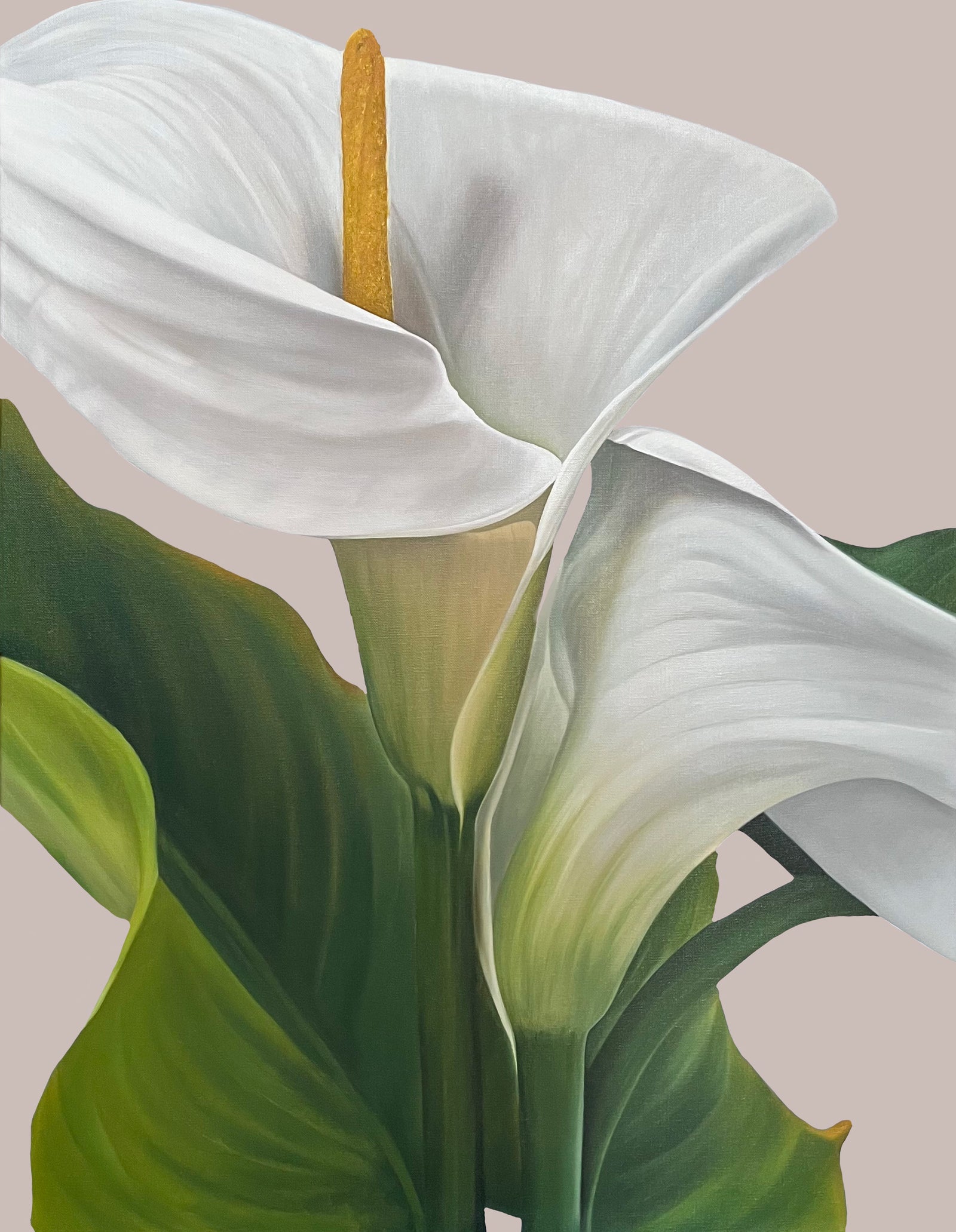 Sarah Blatchford | Intervallum
