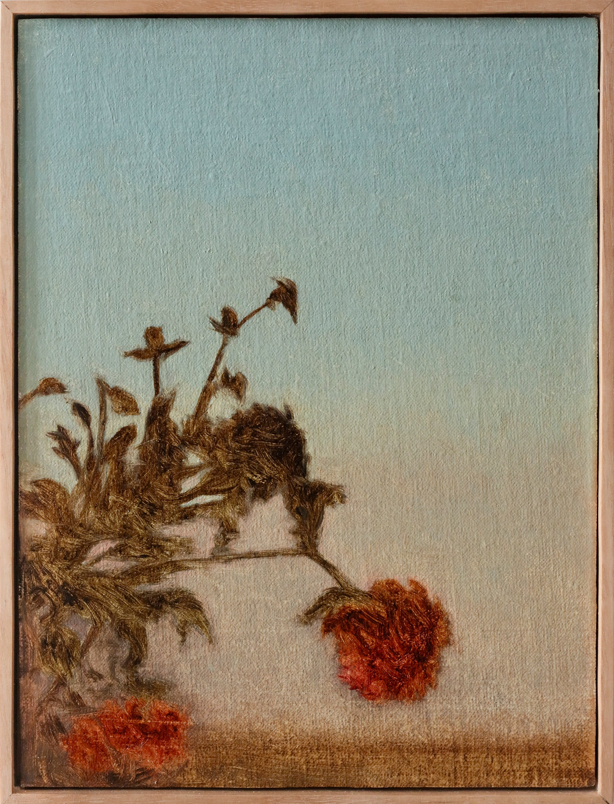 James Riches | Dusk Garden