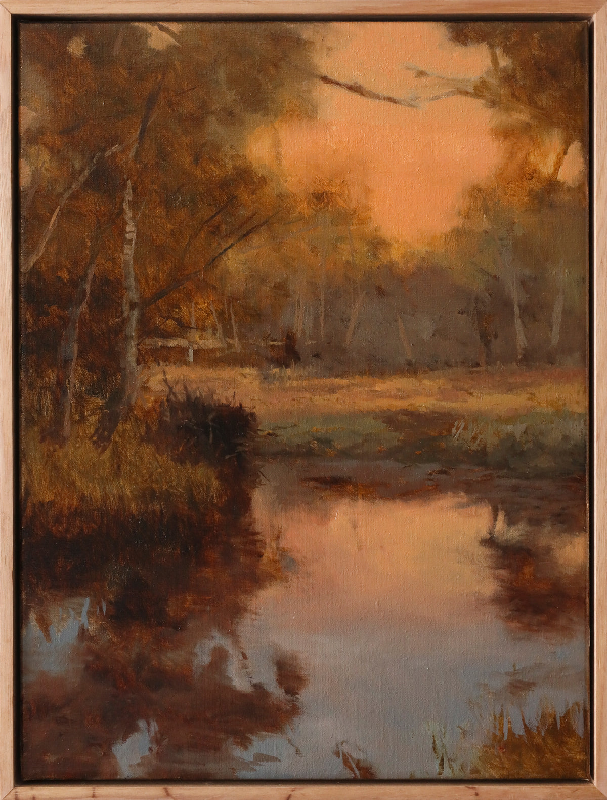 James Riches | Merri Creek Pool
