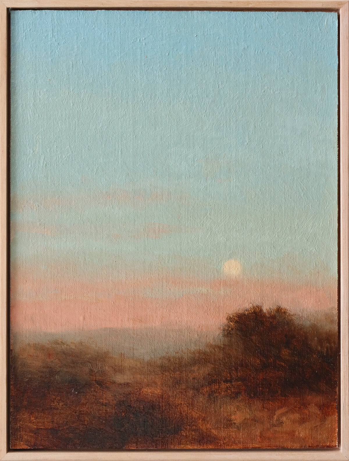 James Riches | Moon Path