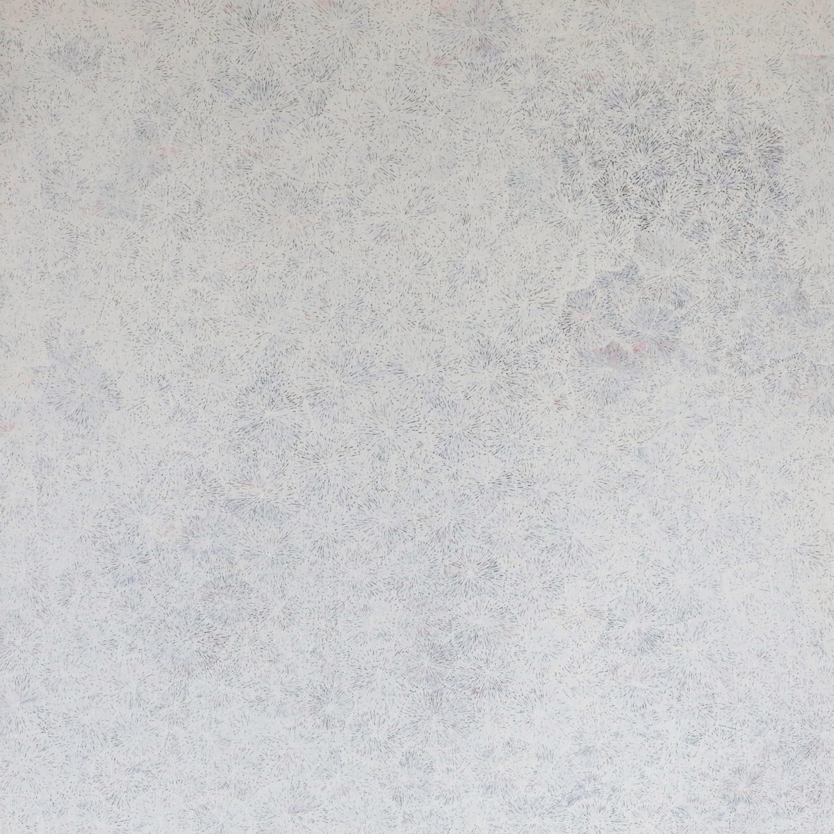 Janice Kngwarreye Clarke | Ilyarnayt 381-25