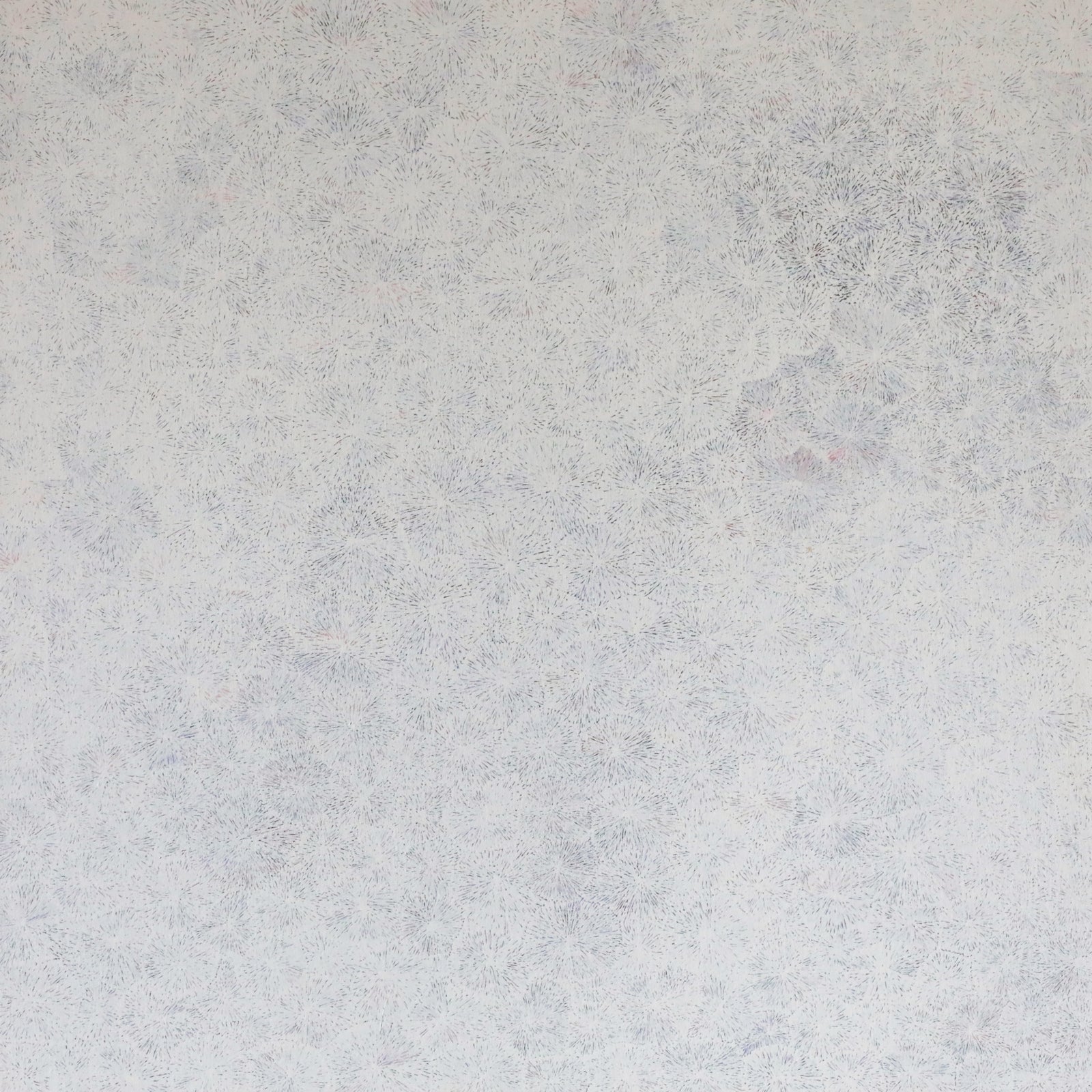 Janice Kngwarreye Clarke | Ilyarnayt 381-25