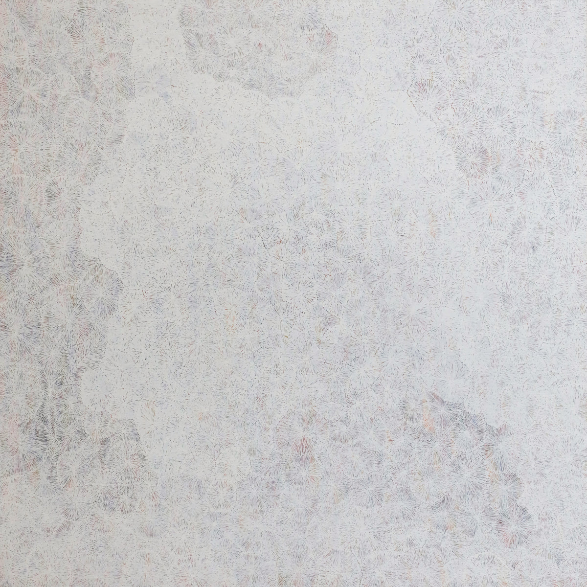 Janice Kngwarreye Clarke | Ilyarnayt 458-25
